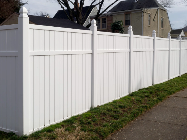 Fence 2